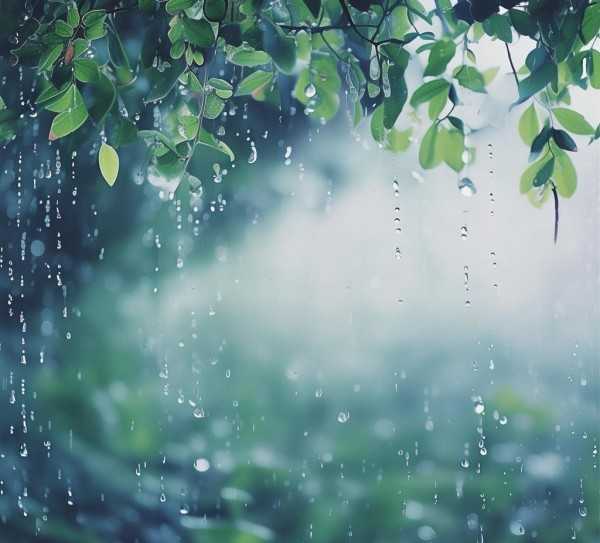 细雨如诗，描绘春日小雨的画卷,细雨蒙蒙，诗意盎然的画卷—小雨的细腻描写,魅力,诗意,画卷,第1张