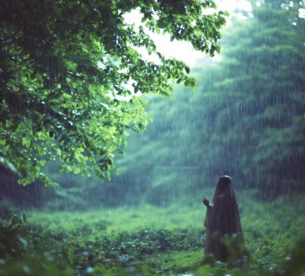 细雨轻吟，雨中诗篇里的细腻描写,雨中的诗篇，那些细腻的雨中描写句子,魅力,诗意,画卷,第1张