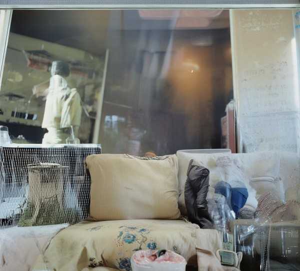 夏日诗韵，名句传情,夏日炎炎，诗意盎然——夏天的名句品鉴,诗意,心灵,第1张